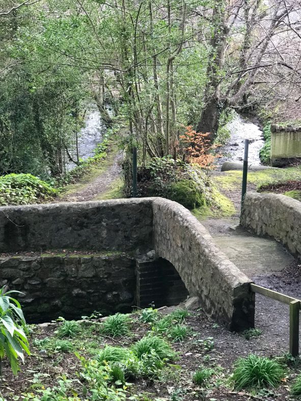 Jacob's Island and the Three Trout's River Delgany Heritage Village