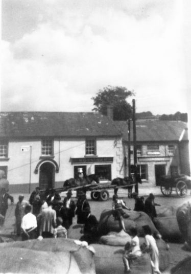 Donard-Wool-Sale Wool sale, Donard, 1959 | Photo Edward Allen C 2020
