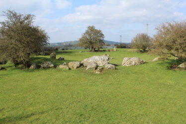 Castleruddery Stone Circle | Jim Butler © 2020