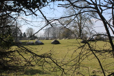 Broadleas stone circle | Jim Butler © 2020