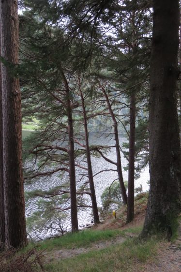 Upper Lake, Glendalough | Jane Clarke