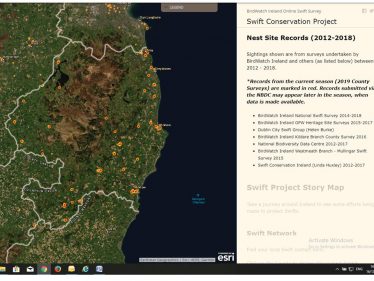 Swift nest locations in county Wicklow are mapped online at BiodiversityIreland