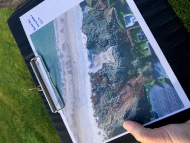 Invasive species mapping at Brittas Bay Brittas Bay Nature