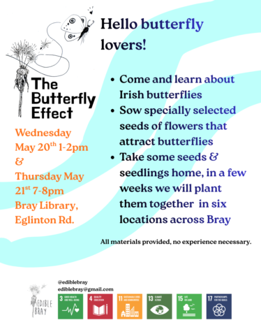 The Butterfly Effect: A Community Project in Bray