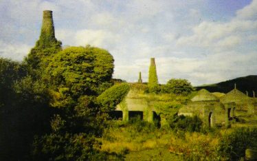 19c Engine Houses at Ballymurtagh West Avoca 19c Engine Houses at Ballymurtagh West Avoca | Geological Survey of Ireland 1998