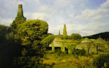 19c Engine Houses at Ballymurtagh West Avoca | Geological Survey of Ireland 1998