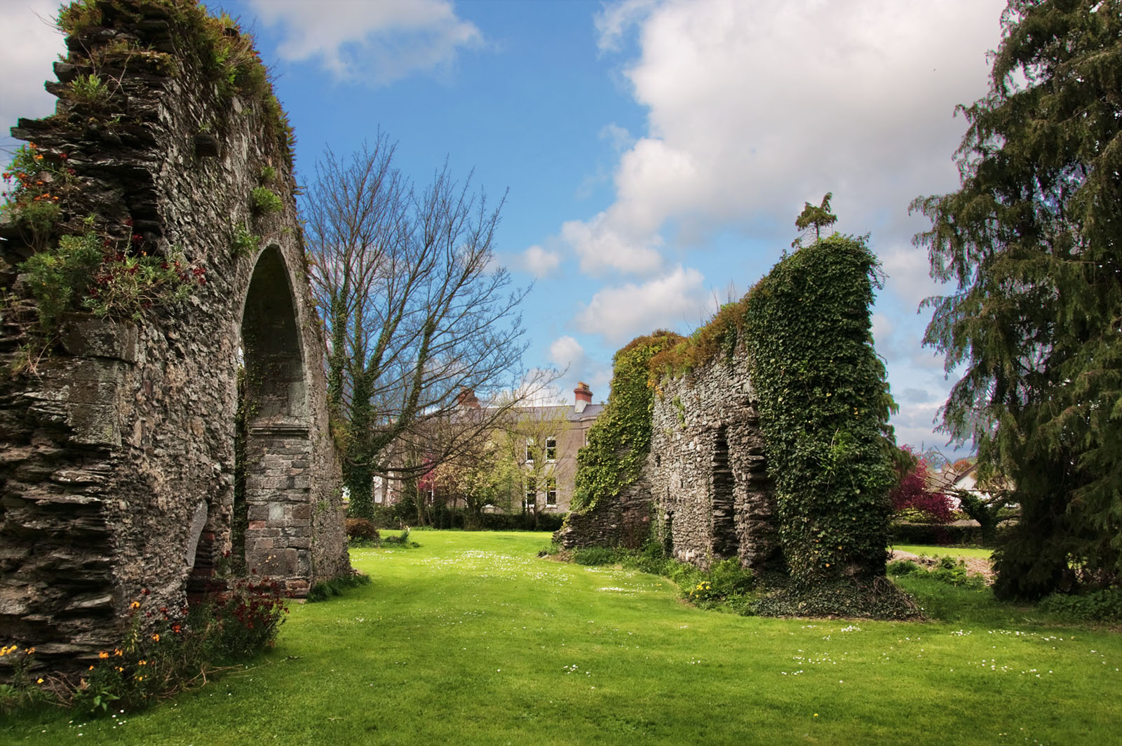 The Abbey Grounds Wicklow County Wicklow Heritage