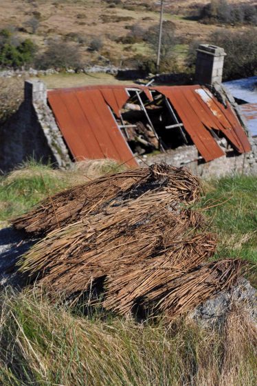 Bundles of thatch from Ballyknockan | Christiaan Corlett