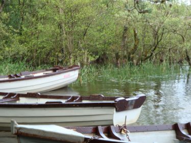 Boats moored on reservoir | Roundwood Tidy Towns