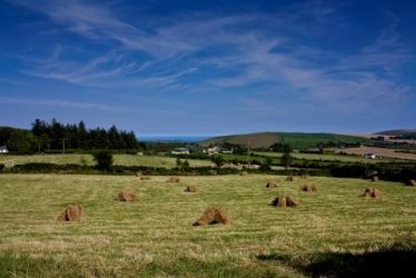 View to the sea across the meadows from the Motte stone | PURE Mile