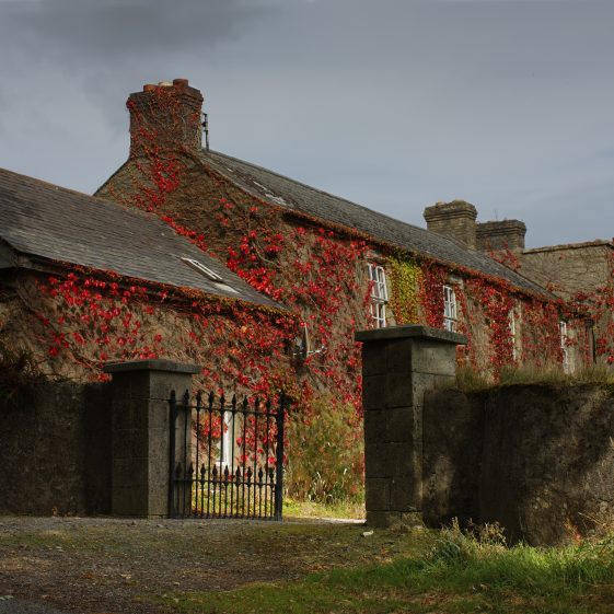 Rathdrum Avondale PURE Mile County Wicklow Heritage