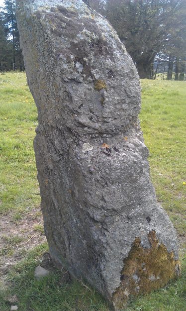 The newly discovered standing stone at Castletimon