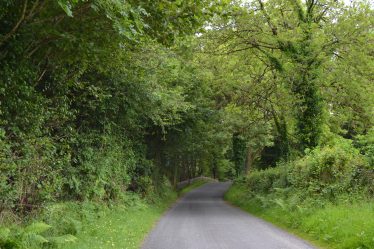 A Survey of Grassy Verges in County Wicklow