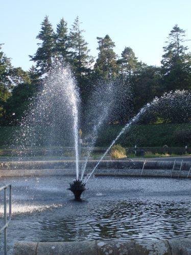 Fountain at Waterworks | Roundwood Tidy Towns