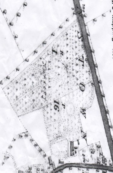 Hodgins Nurseries  ( 16 acers ) 1838 OS map | OS map 1838