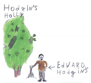 Hodgins Hodgins | By The Pupils Of Brittas Bay School 2014