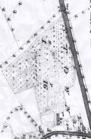 Messrs Hodgins Nurseries ( 16 acers ) 1838 OS map Messrs Hodgins Nurseries ( 16 acers ) 1838 OS map | OS 1838