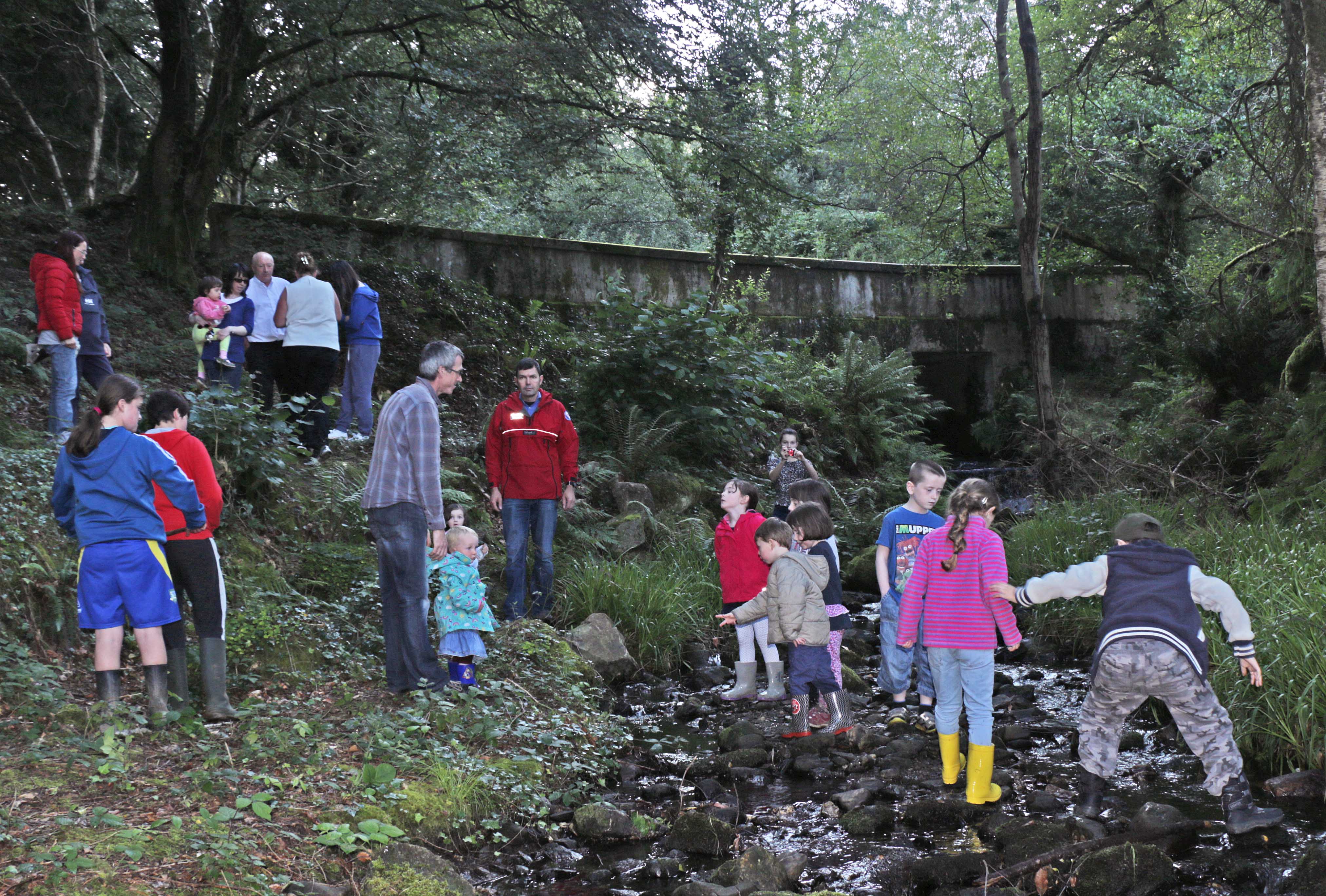Annamoe Pure Mile 2014 County Wicklow Heritage