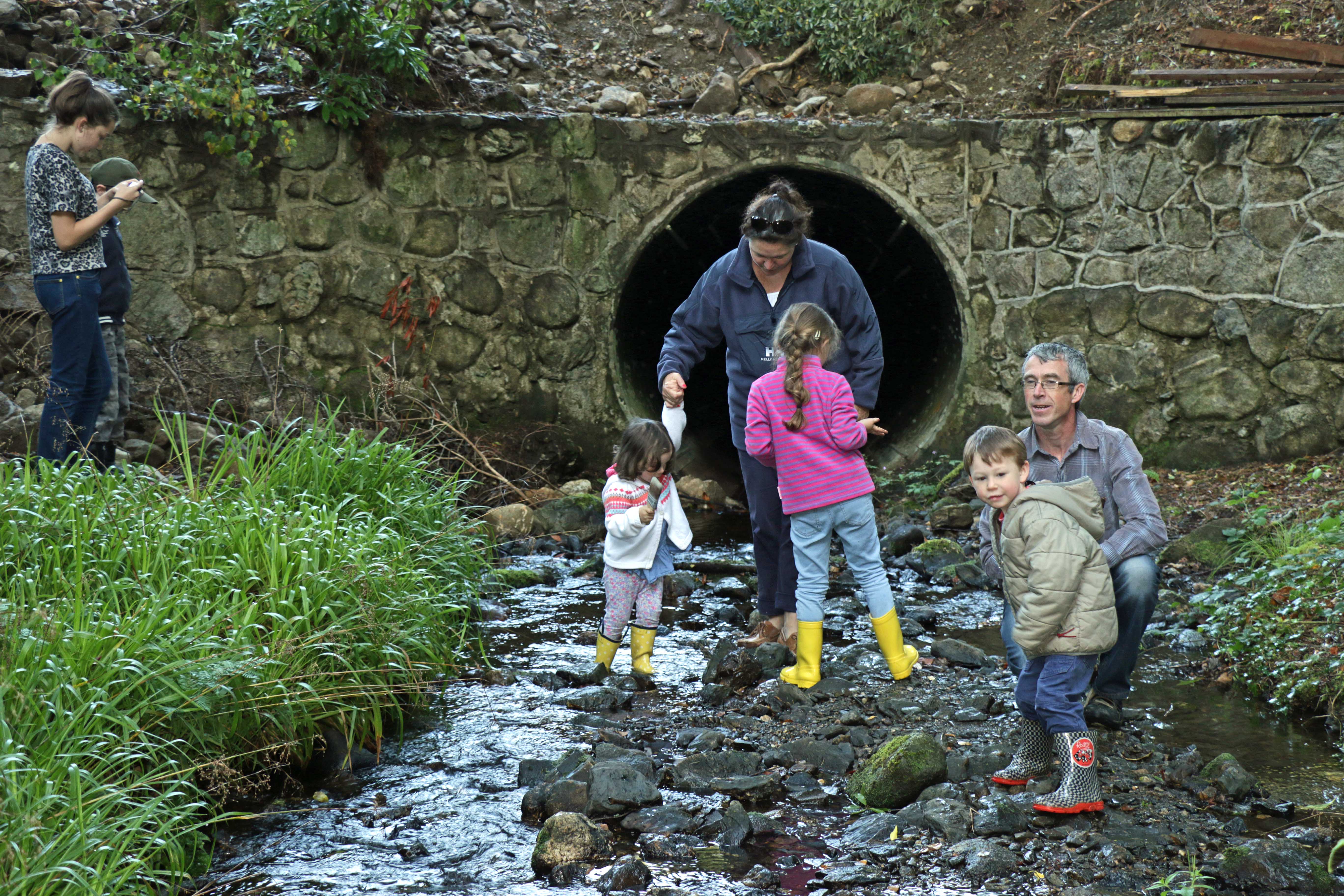 Annamoe Pure Mile 2014 County Wicklow Heritage