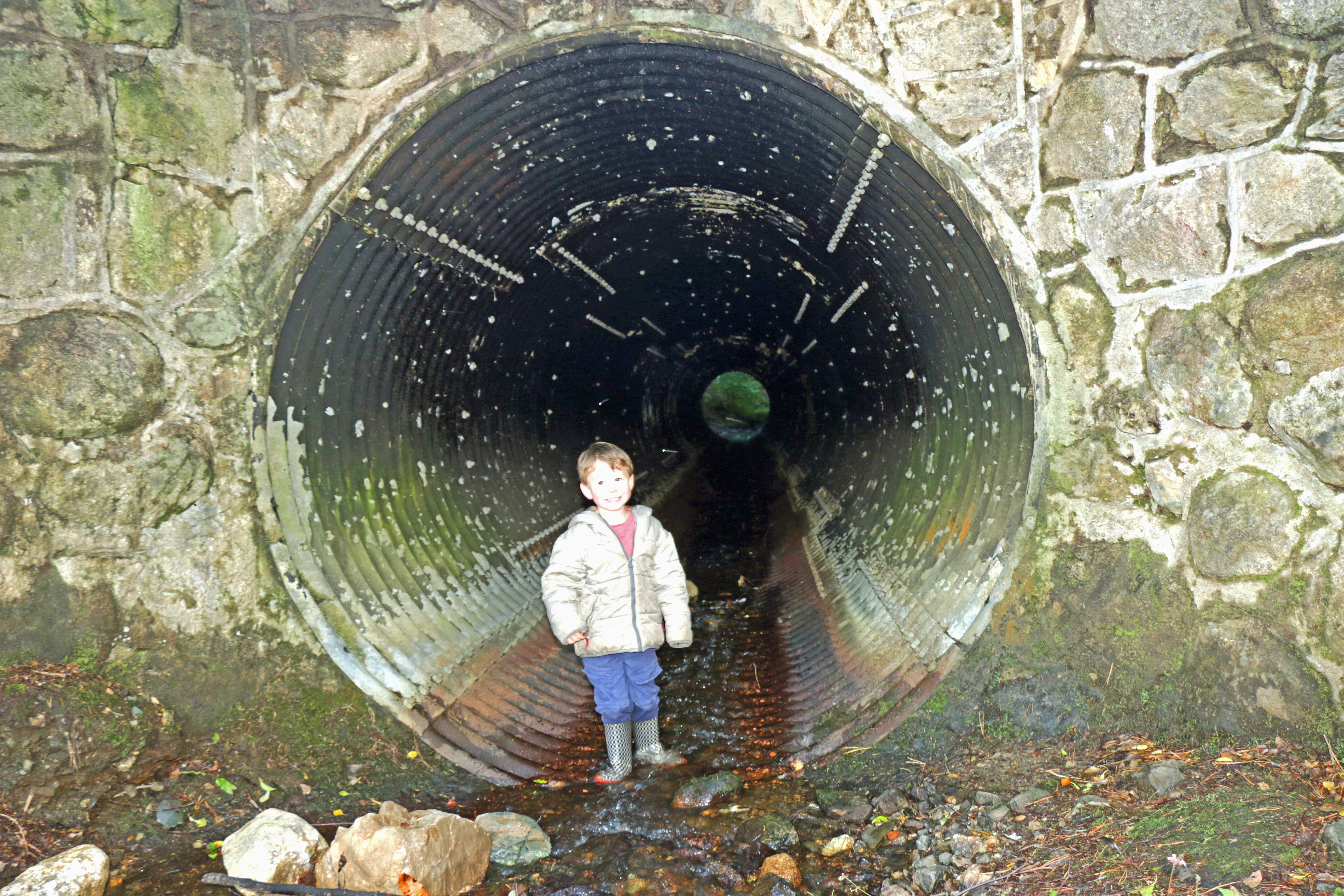 Annamoe Pure Mile 2014 County Wicklow Heritage