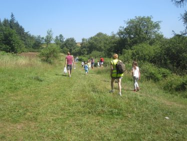 Walking Events Roundwood Festival 2014