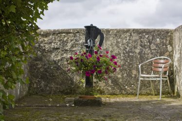 Pump with Flowers Pump with Flowers | PURE Mile