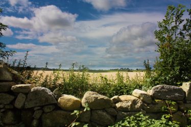 View over Old Wall | PURE Mile