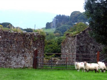 Remains of entrance to Mill Buildings at Stratford-on-Slaney | Mary Hargaden September 2015