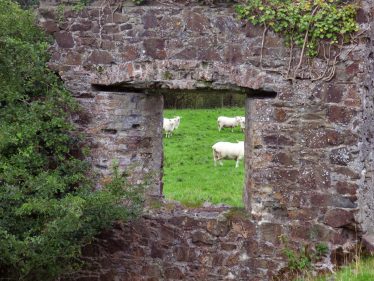 Window detail on Mill Building at Stratford-on-Slaney | Mary Hargaden September 2015