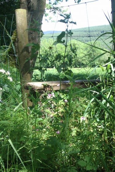 Stile Stile | Askinagap Community