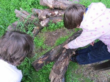 Investigating Insects on the Nature Walk | Askinagap Community