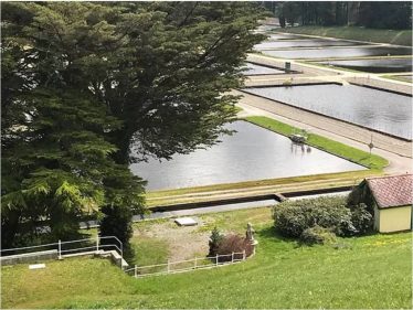Vartry Filter Beds Vartry Filter Beds | Ireland Tour Guide