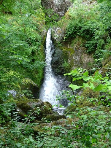 Devil's Glen Waterfall | D. Burns