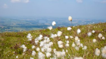 Wicklow Heritage Trails Recording Project