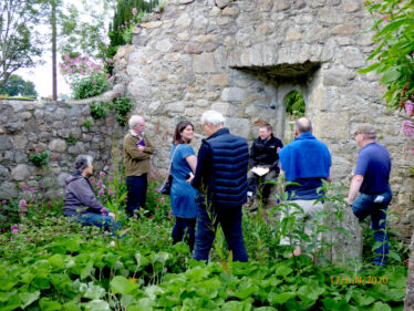 Old Conna/Connaught Graveyard Volunteers and interested parties listening to short history of the graveyard given by David McIlreavy.  | The Medieval Bray Project